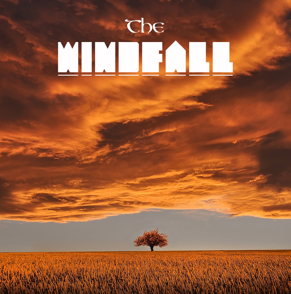 THE WINDFALL // “Ouverture”. Un’ode all’apertura e al cambiamento attraverso suoni evocativi e visioni naturali.