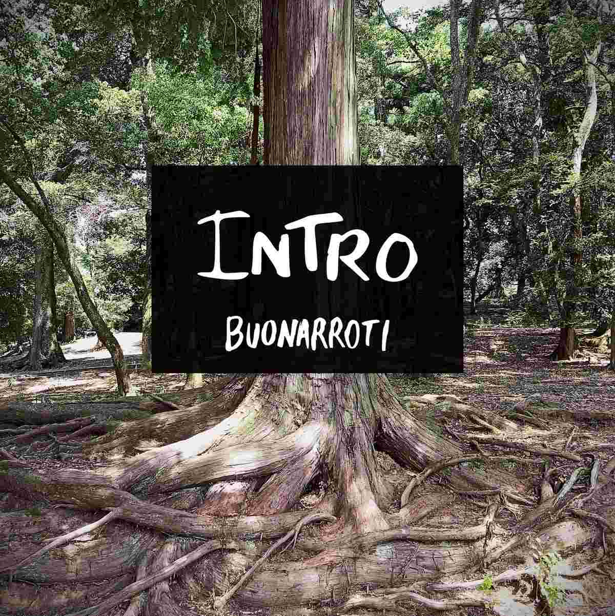 BUONARROTI: dal 31 gennaio disponibile in digitale “INTRO” il primo singolo estratto dal nuovo EP “KOMOREBI” di prossima uscita