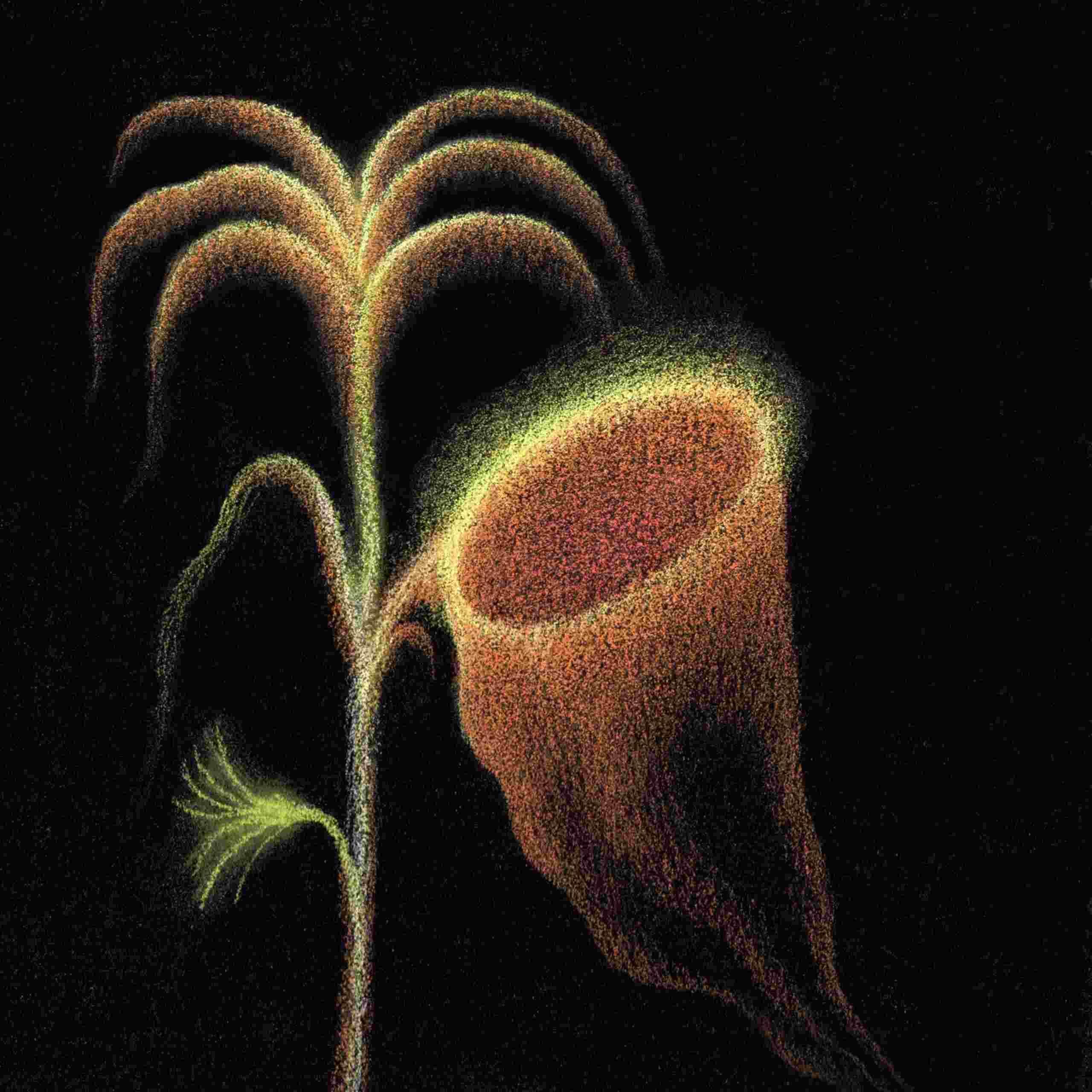 “Solvay Beach” è il nuovo estratto che annuncia il prossimo album di Laura Agnusdei