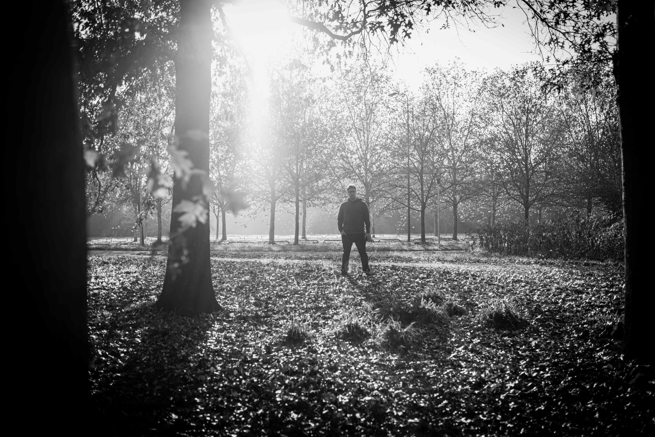 MØRE // “LA FINE DEL MONDO [I MISS YOU DEI BLINK]”. Un punto fermo mentre il mondo intorno sta crollando