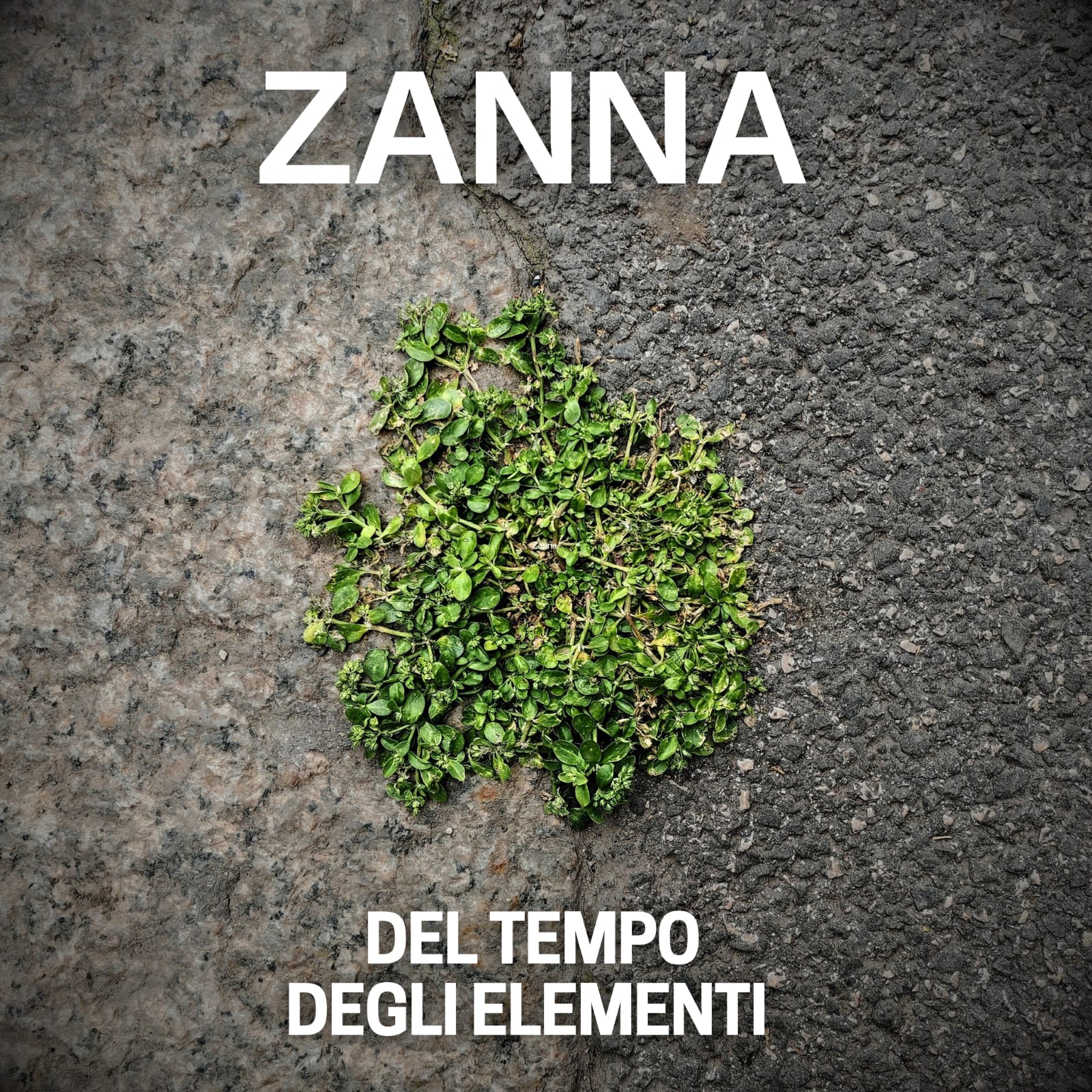 “Del tempo, degli elementi” è il nuovo album di Zanna