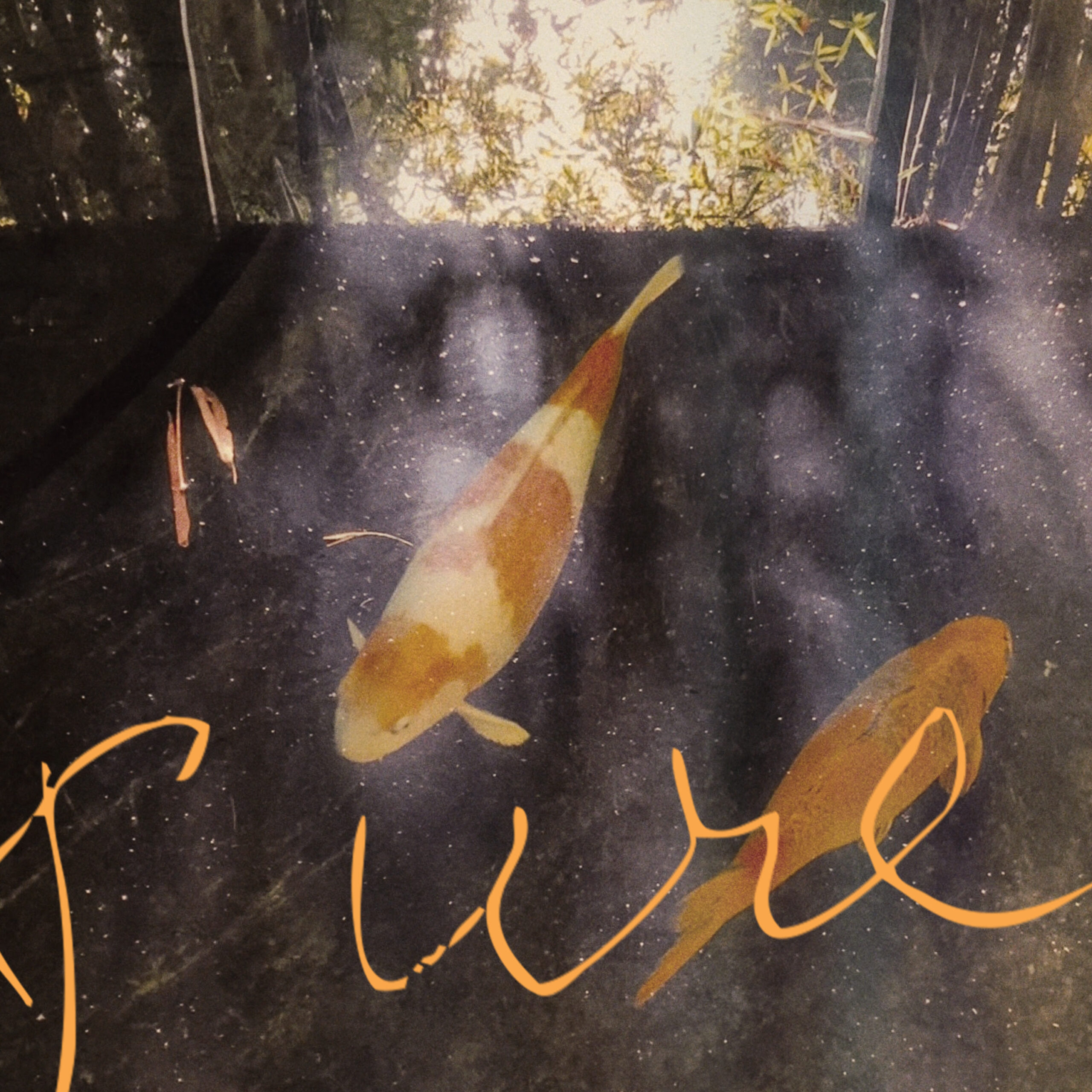 PURE è il nuovo singolo di HESANOBODY