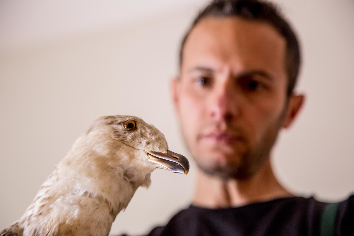 DRUGA, gio 17/7 Biblioteca Lazzerini di Prato – L’album/progetto di Andrea Franchi, già al fianco di Paolo Benvegnù – Ingresso libero