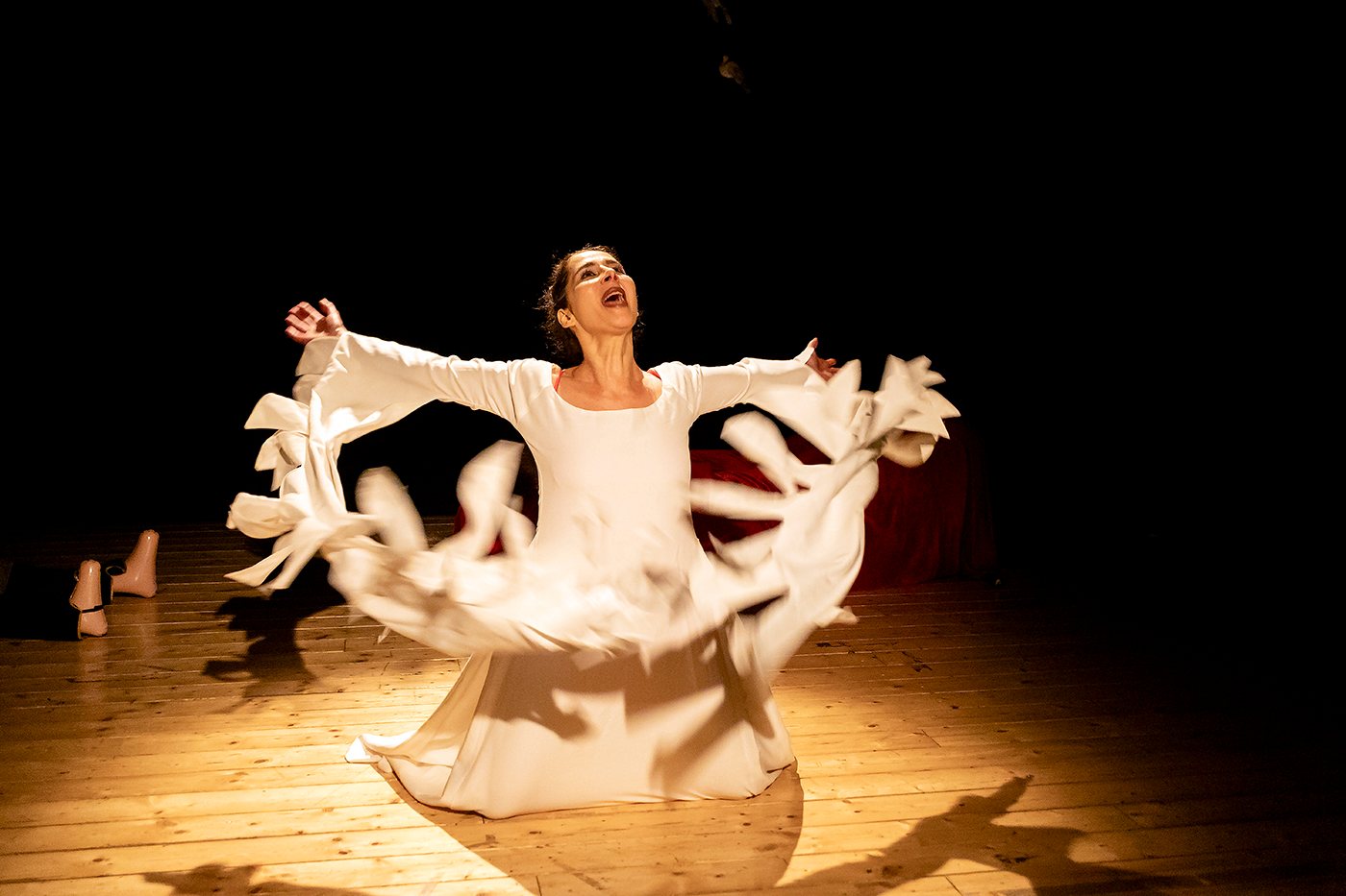 8 e 9 novembre al Gerolamo Caroline Pagani con MOBBING DICK e LUXURIAS