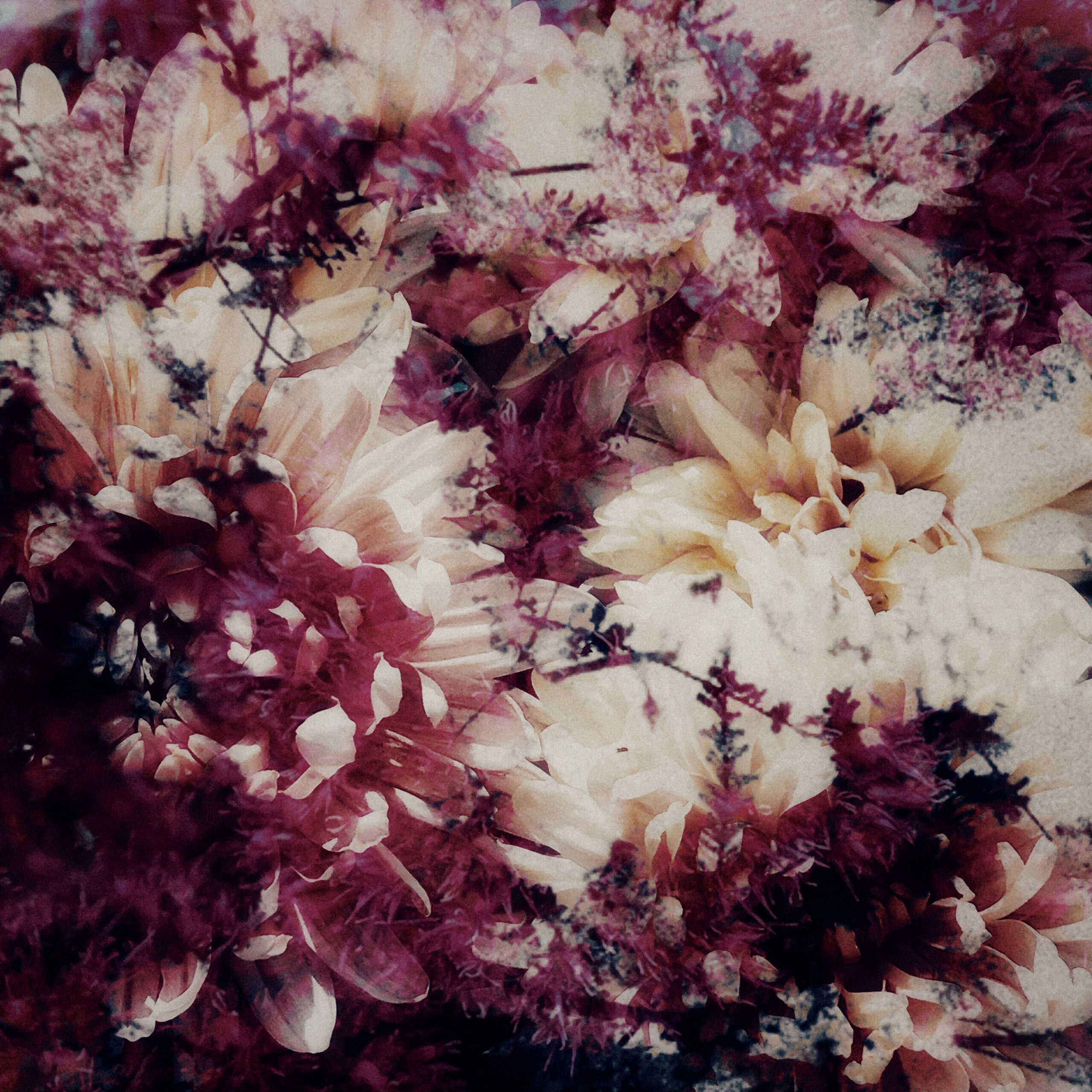 Filippo Poderini firma un novembre di immagini e confessioni