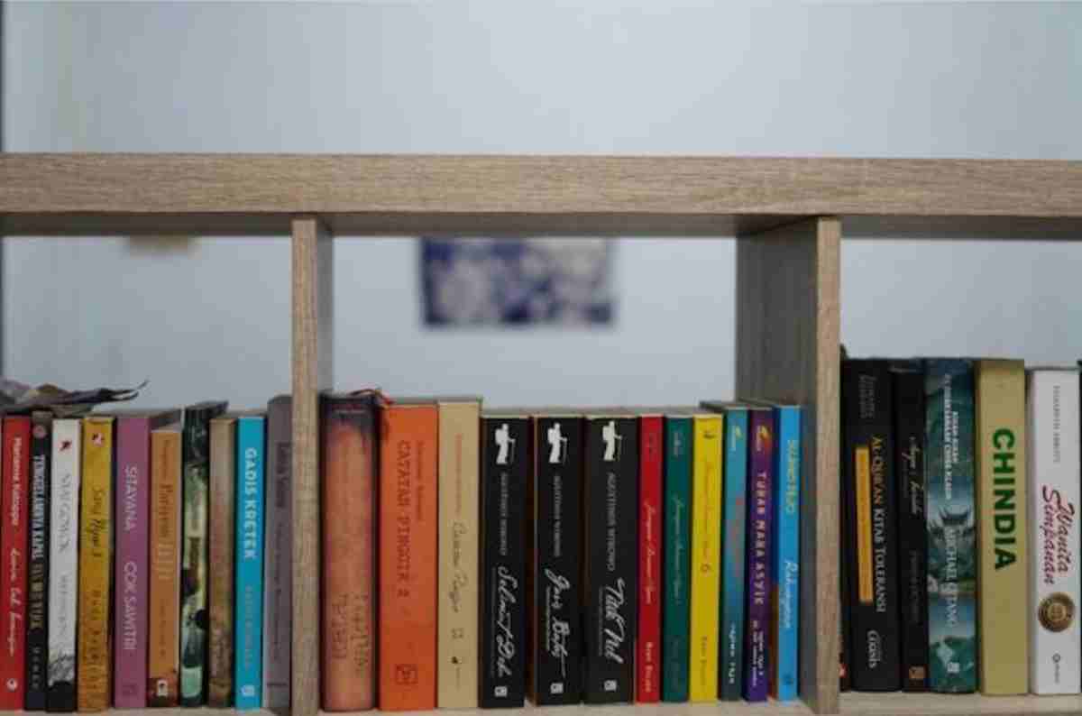 Dividere un ambiente con una libreria bifacciale: idee per soggiorno e ingresso