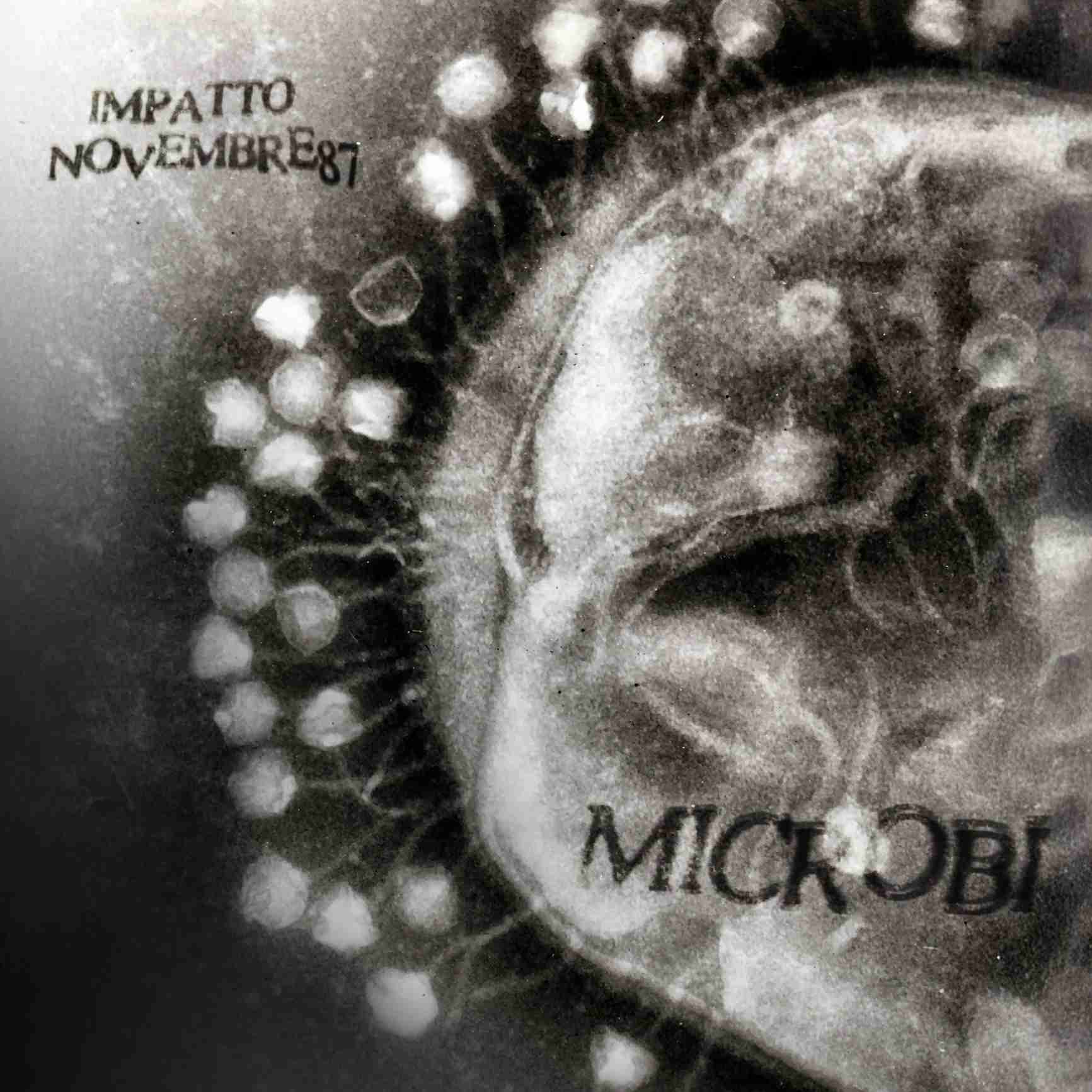 “MICROBI” , è uscito IMPATTO x NOVEMBRE87