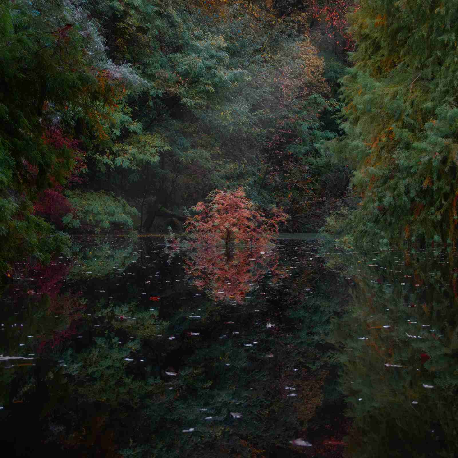 VACUITÁ è il nuovo album dei Nevecieca