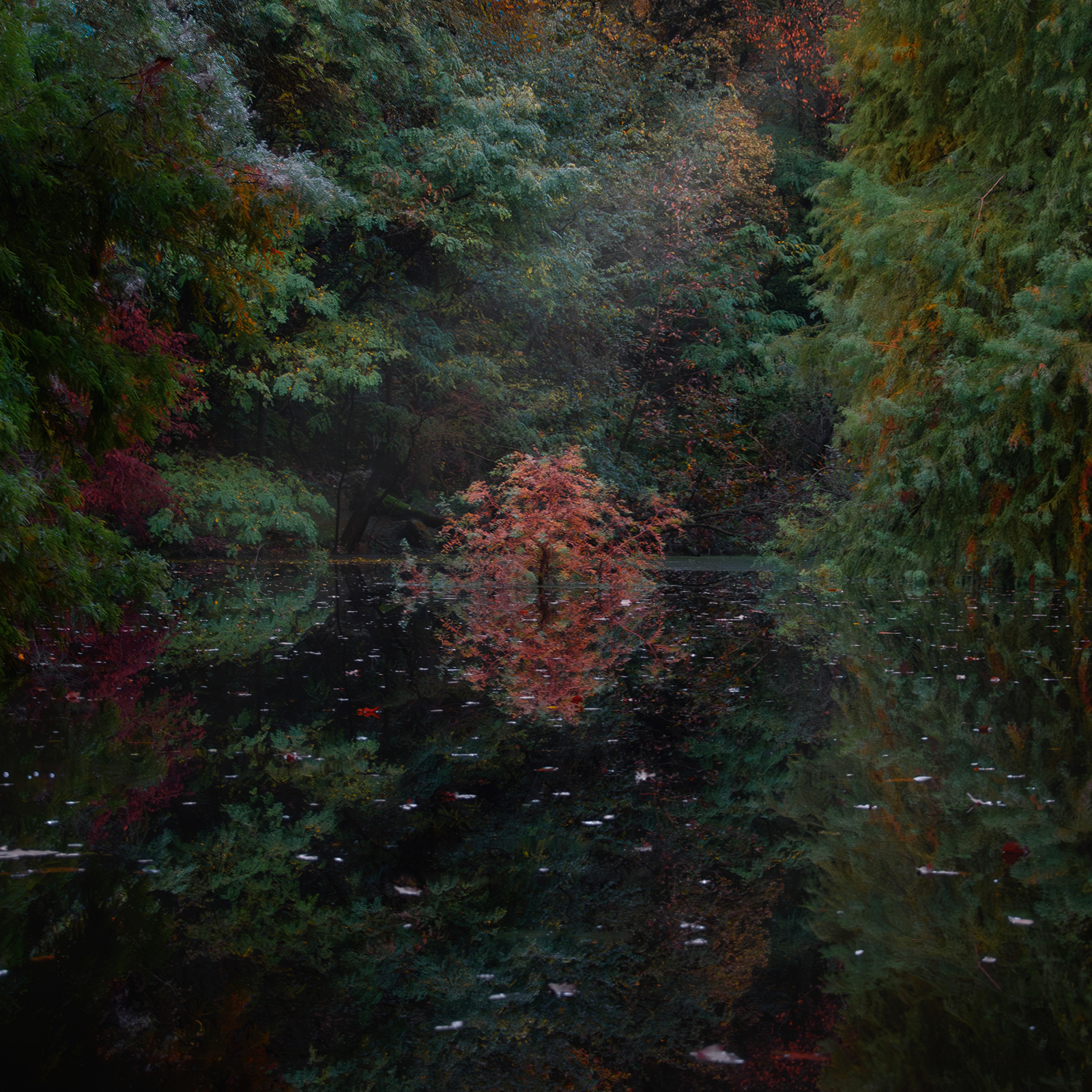 VACUITÁ è il nuovo album dei Nevecieca