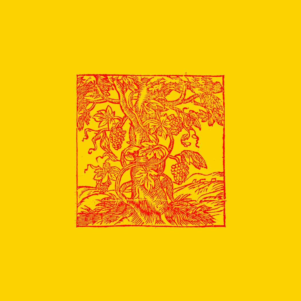 “BYE BYE SAMURAI / VITE”: esce il 30 gennaio il nuovo singolo di SANDRI