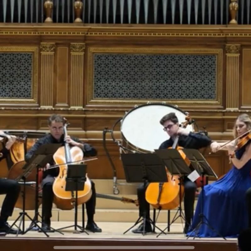 Ensemble di musica classica con archi in concerto su palco di sala da concerto, con violini e violoncelli davanti a un grande organo.