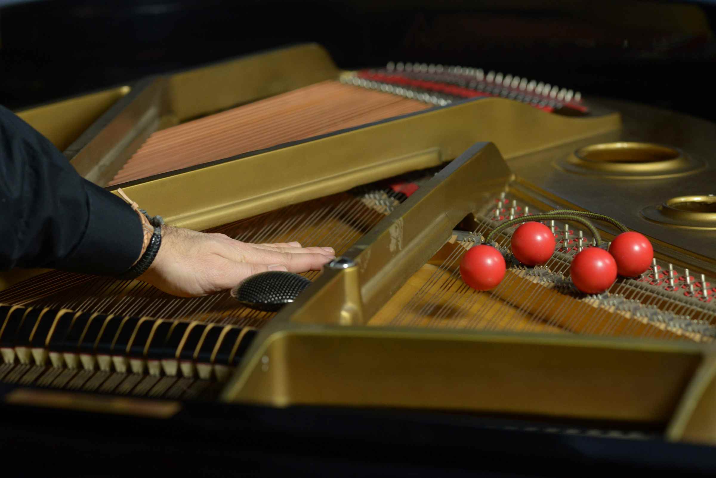 RARENOISE pubblica il nuovo album di FABIO ANILE: Minutiae!