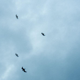 WILLIE PEYOTE Da venerdì in digitale il nuovo singolo “BURRASCA”