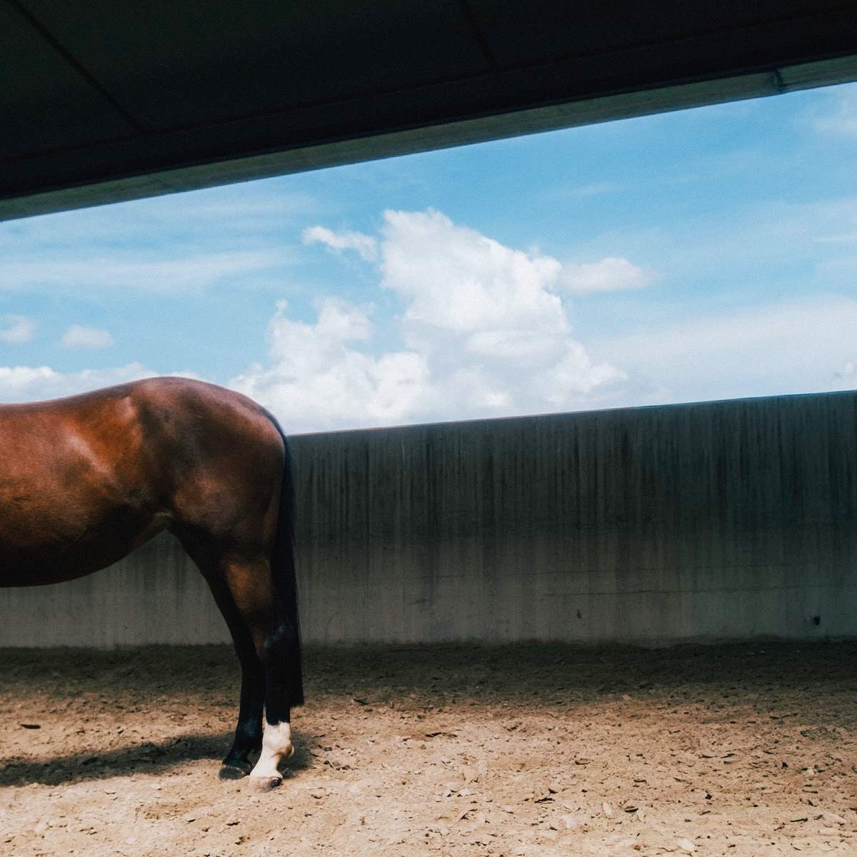 La Gente: da venerdì 13 marzo il nuovo singolo “Giorgio”