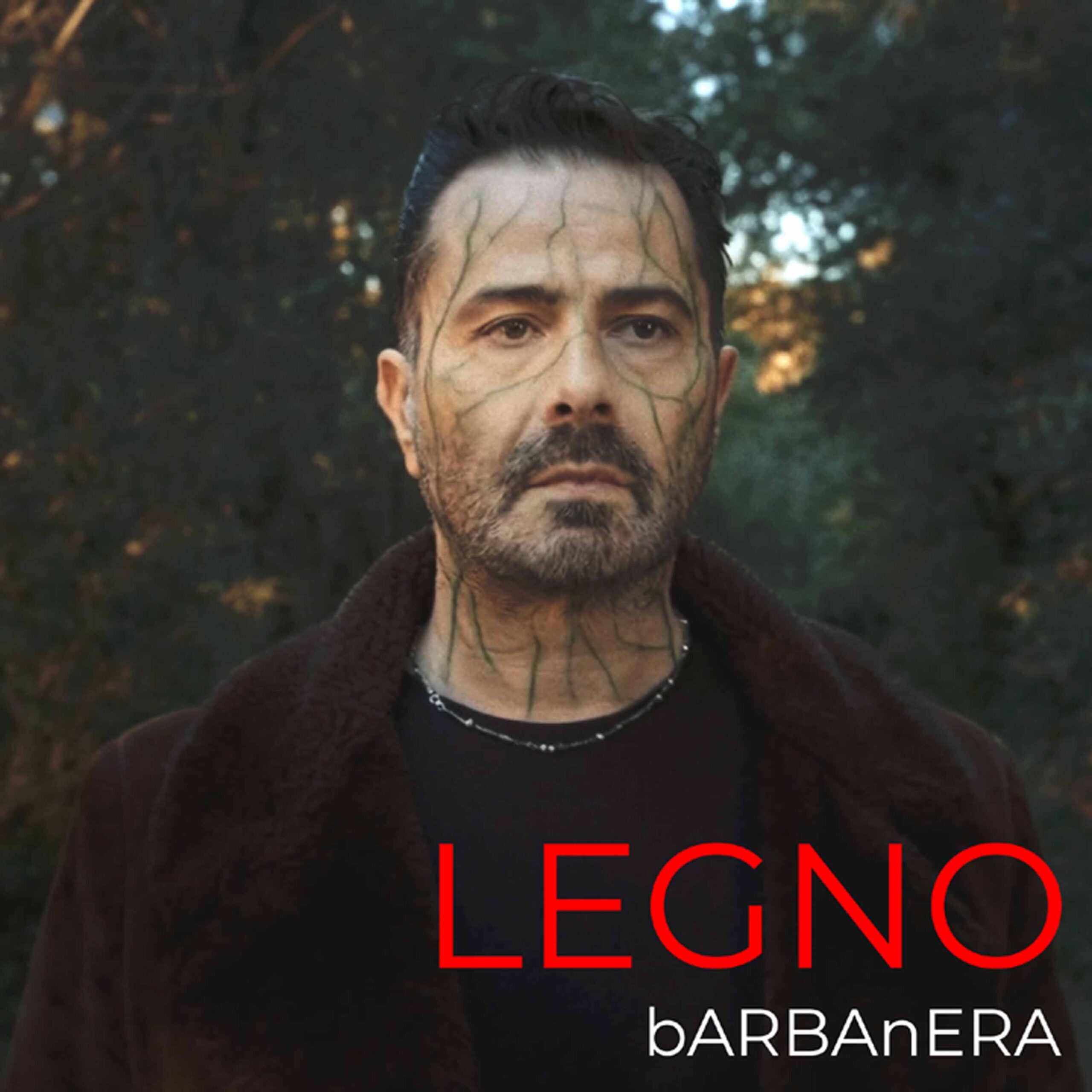 Legno, è uscito il nuovo brano del cantautore perugino Ivano Barbanera