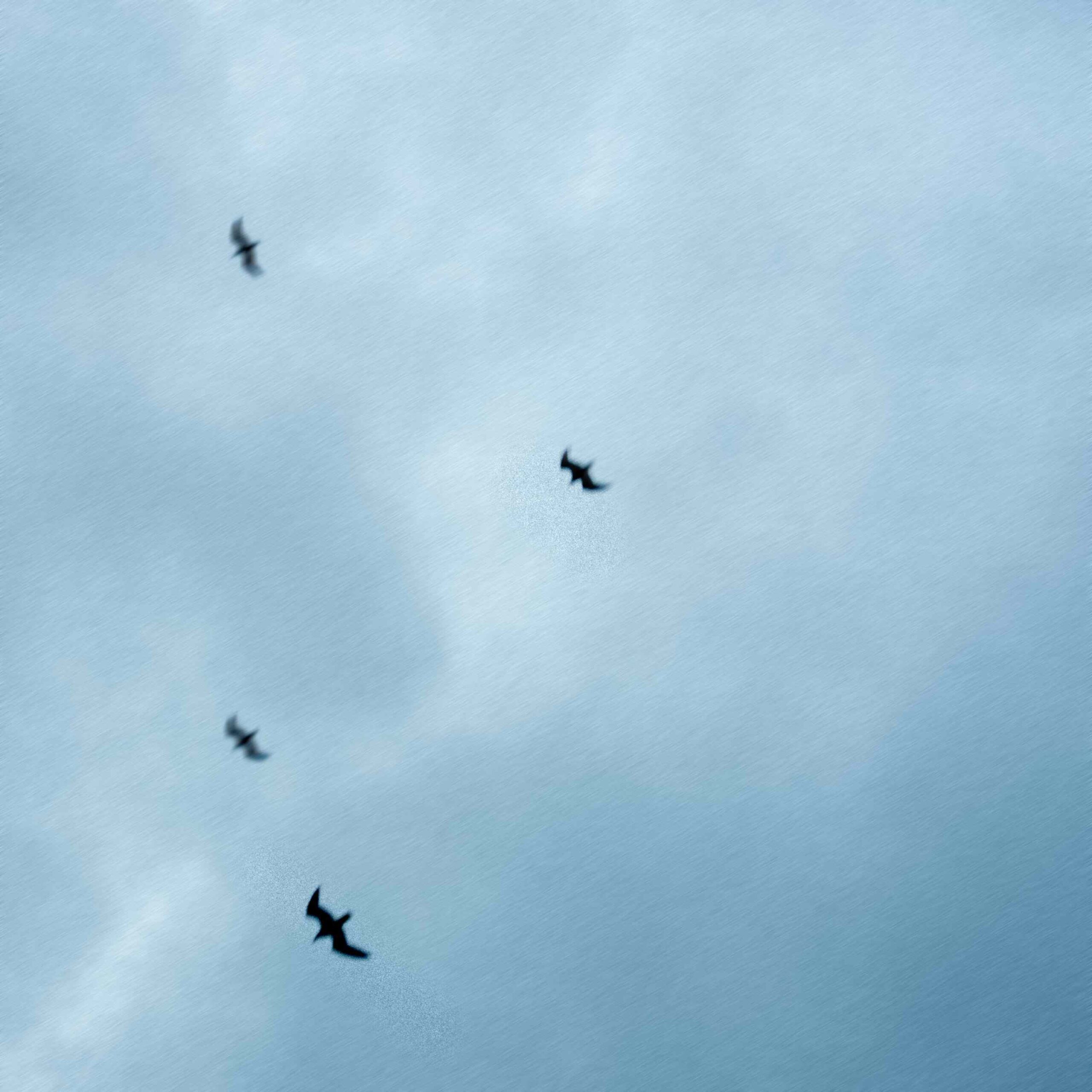 WILLIE PEYOTE: annuncia oggi il nuovo album “Anatomia di uno schianto prolungato” in uscita il 15 maggio