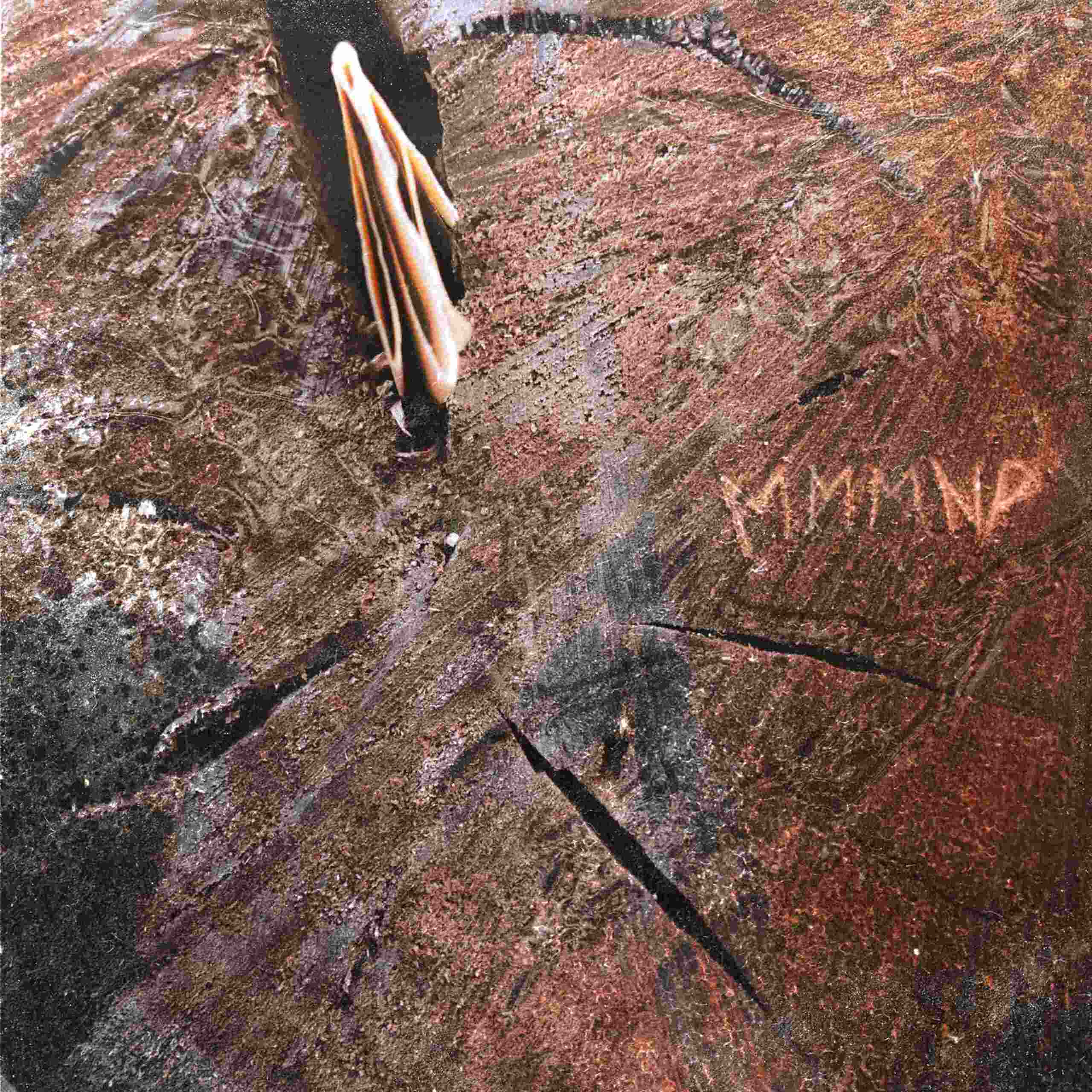 CHIARA ACCARDI: esce oggi “MI MANCHI MA NON PARLO”, il singolo che apre la strada al primo album dell’artista