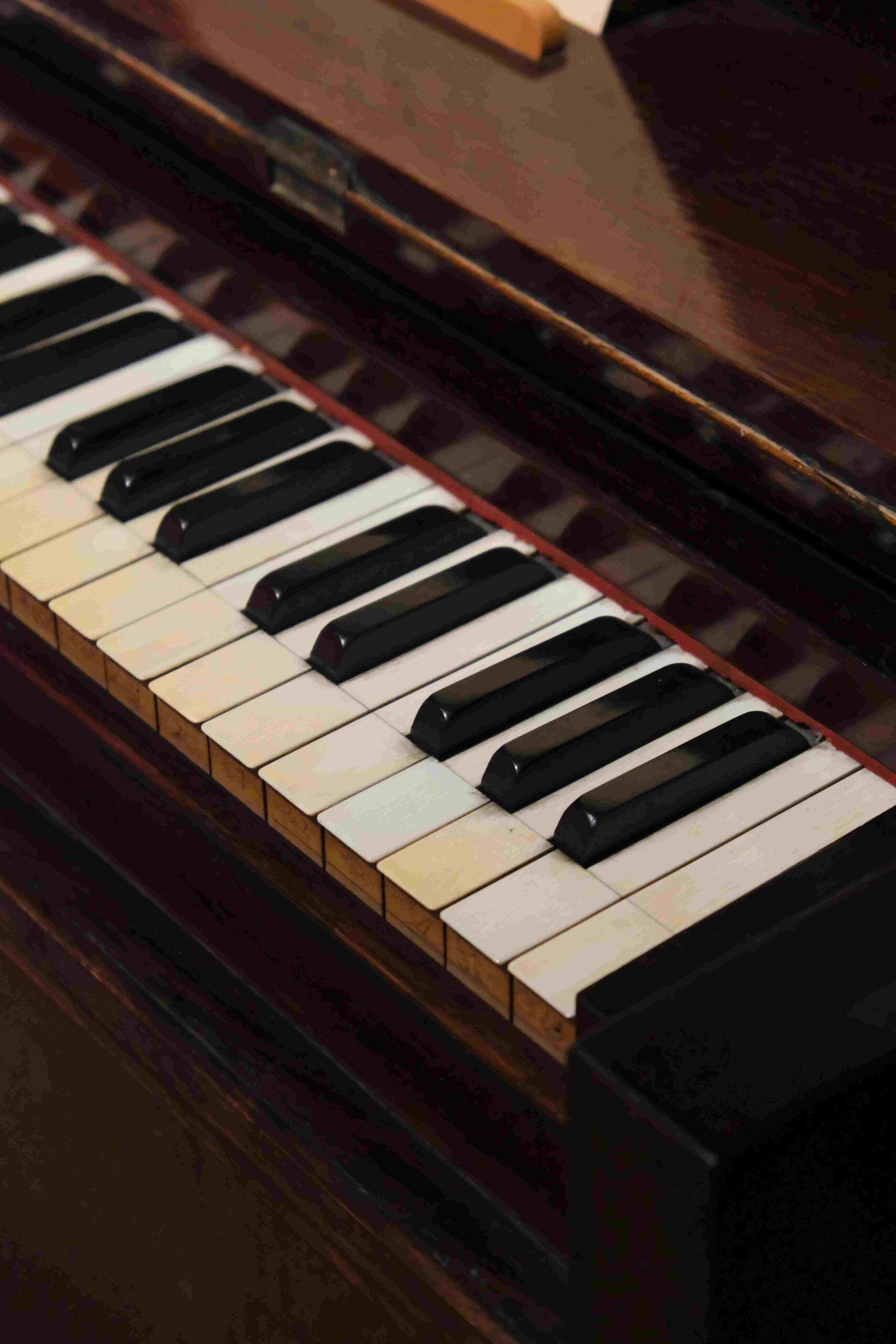 Forlì Musica cerca nuovi talenti: borse di studio e stage per i migliori musicisti under 16