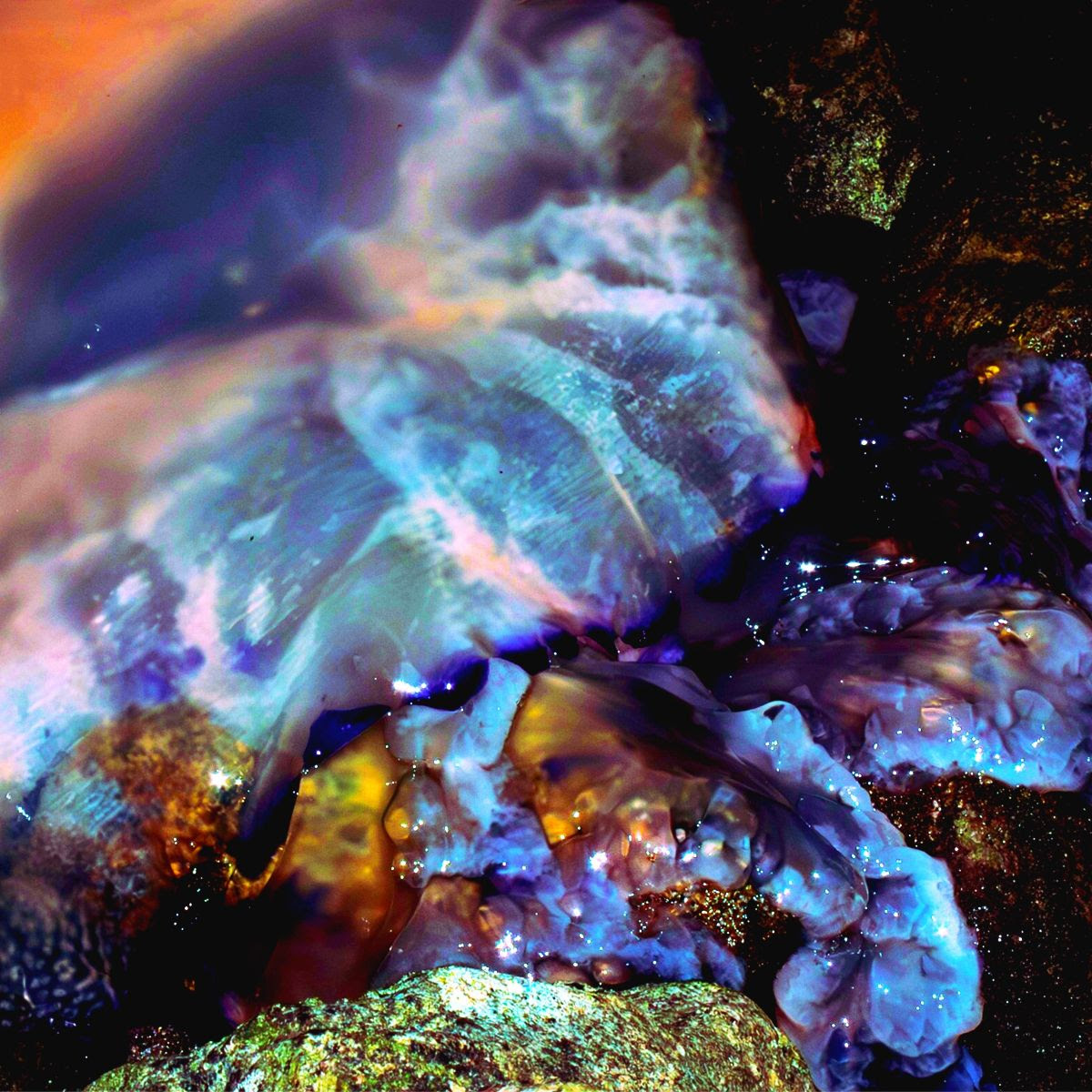 Katana Koala Kiwi: “Il territorio delle meduse” è il primo album