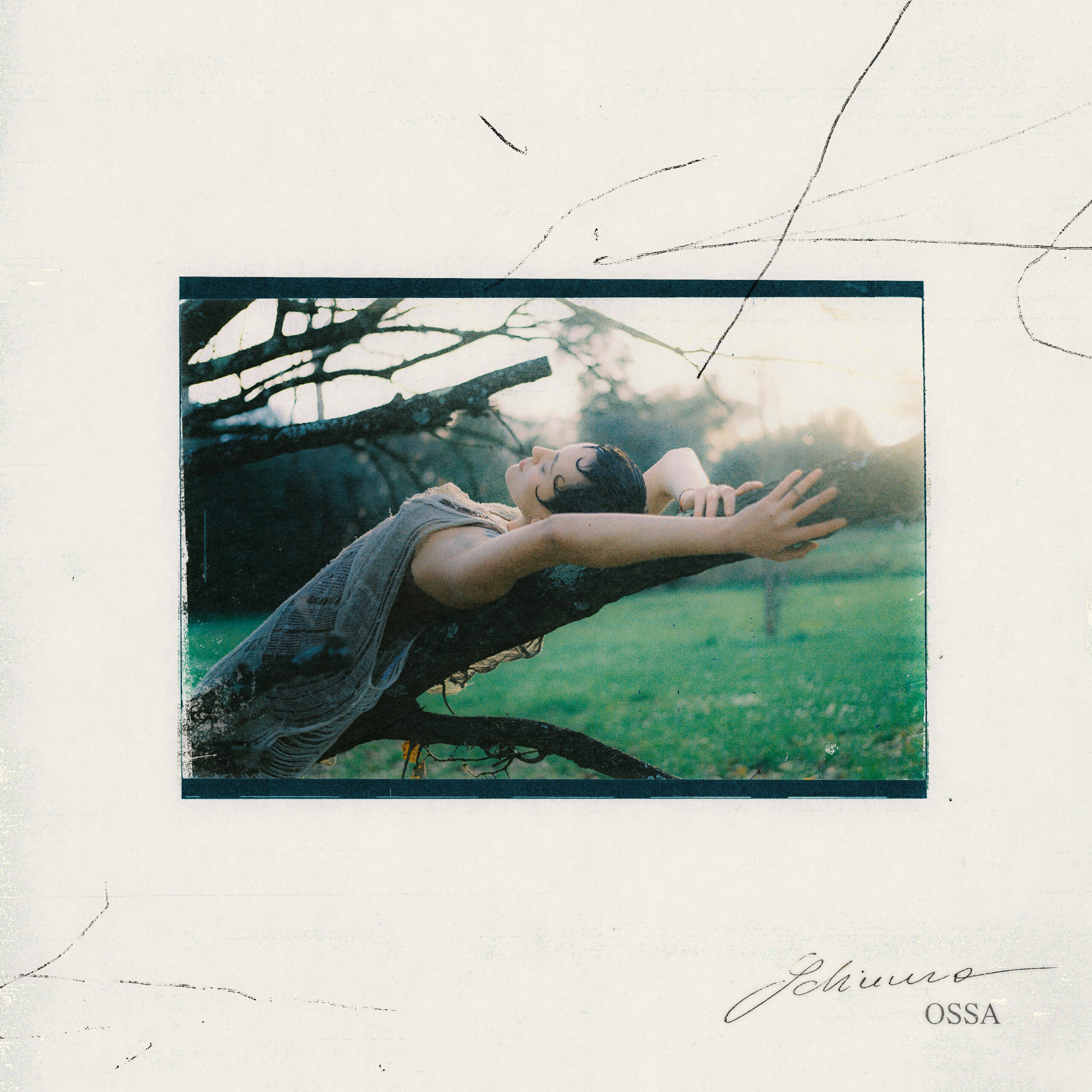 Schiuma riparte dalle “Ossa”: un disco che non cerca risposte, ma verità