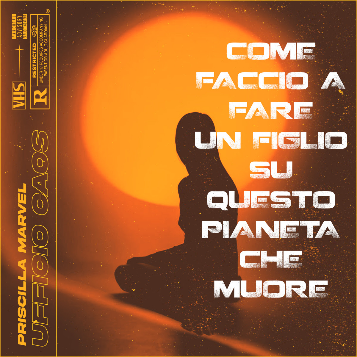 Come faccio a fare un figlio su questo pianeta che muore? Priscilla Marvel e il brano sui trentenni senza futuro da immaginare