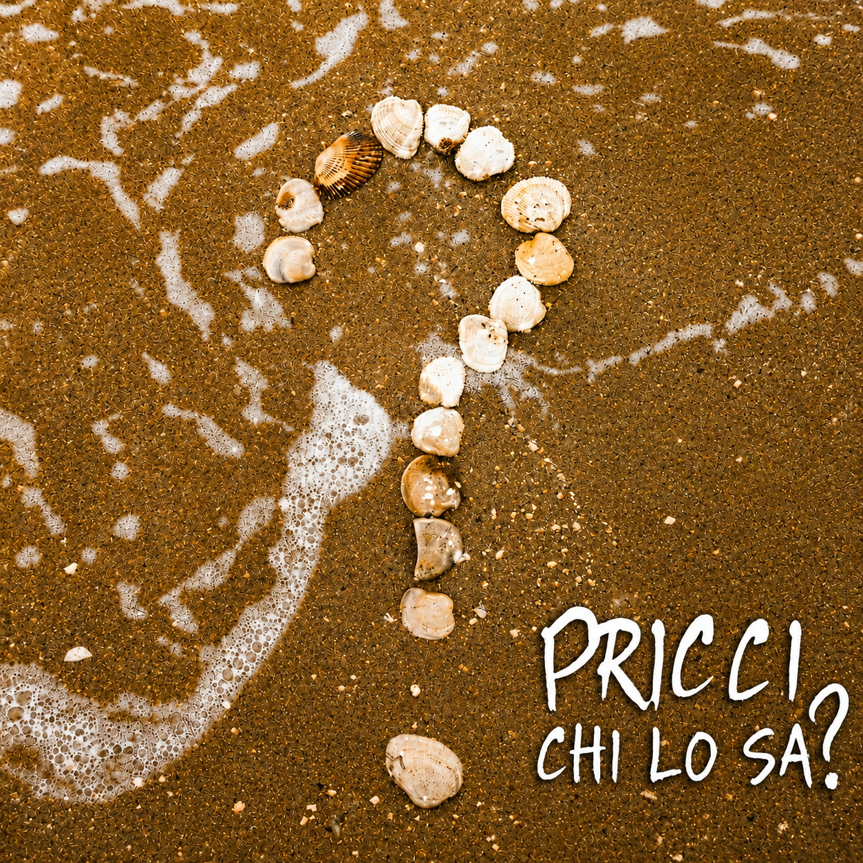 PRICCI “Chi lo sa?” è il nuovo singolo