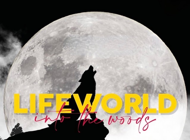 24/7 Lifeworld Into The Woods Festival – Rovetta (BG), nel verde della Valseriana si balla con Rudeejay e tanti altri artisti
