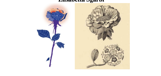 27esima edizione    Letteratura Musica Cinema Scienza Arte Filosofia Teatro Diritto Economia Sport Fumetto   Ideata e diretta da Elisabetta Sgarbi   IL TEMA DI QUESTA EDIZIONE È IL DESIDERIO E LA LEGGE     DA DOMANI, VENERDÌ 17 LUGLIO, AL 30 AGOSTO A BORMIO PRESSO IL MUSEO CIVICO LA MOSTRA   MARCELLO CARRÀ. LA SINDROME DEL PALLONE E ALTRI DESIDERI   A cura di ELISABETTA SGARBI Progetto di allestimento di LUCA VOLPATTI