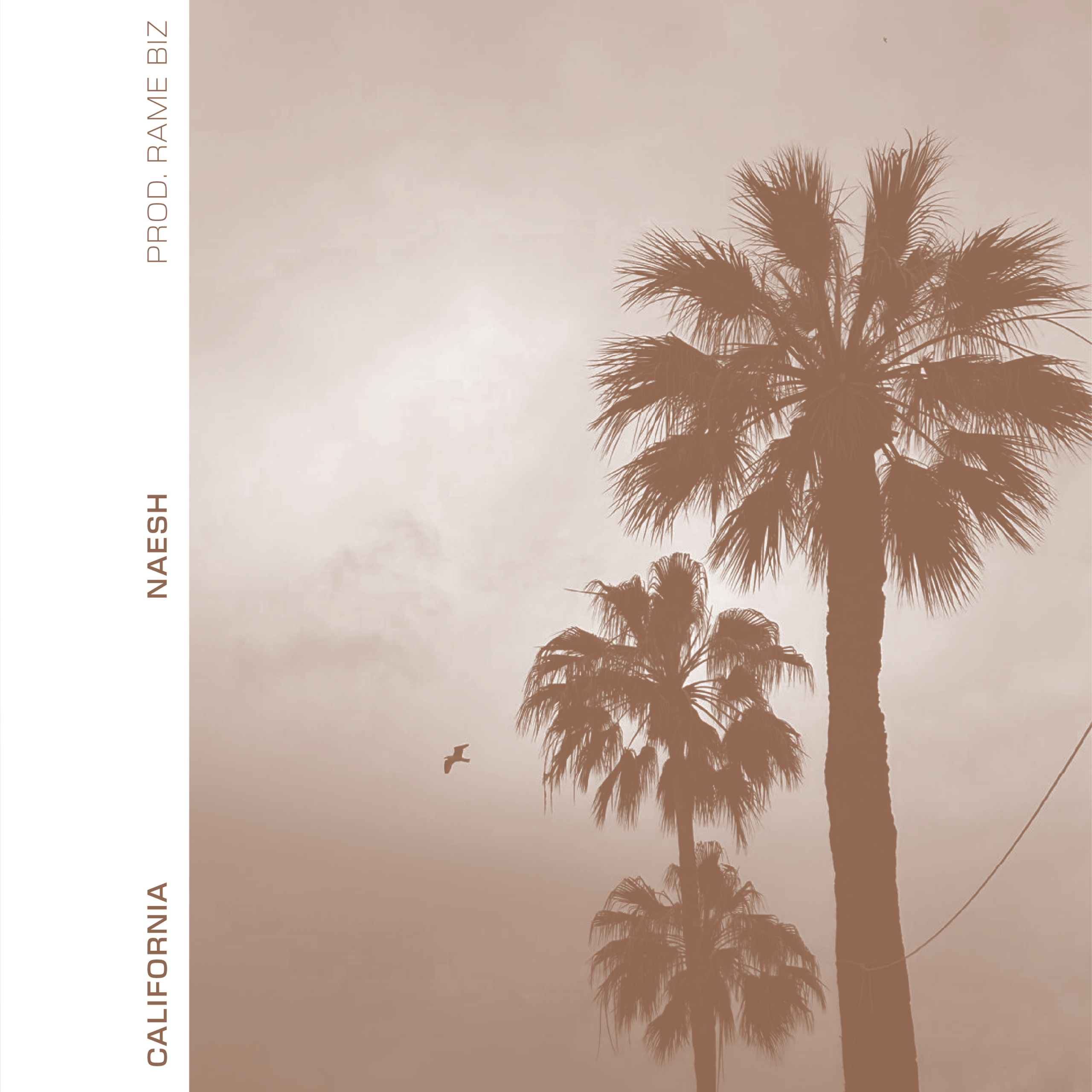 NAESH “CALIFORNIA” è il nuovo singolo prod. RameBiz